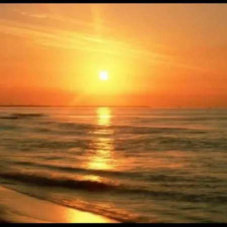 The Pleasure Of Living In Front Of The Sea Daire